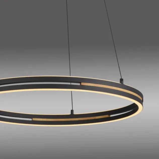 Paul Neuhaus LED Pendelleuchte, Ringleuchte SVEJA, Holz-natur