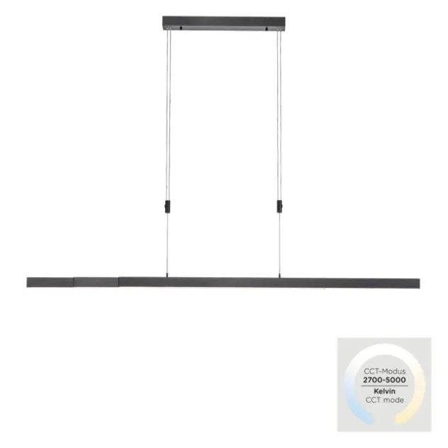 Paul Neuhaus LED Pendelleuchte BACALIA, anthrazit,