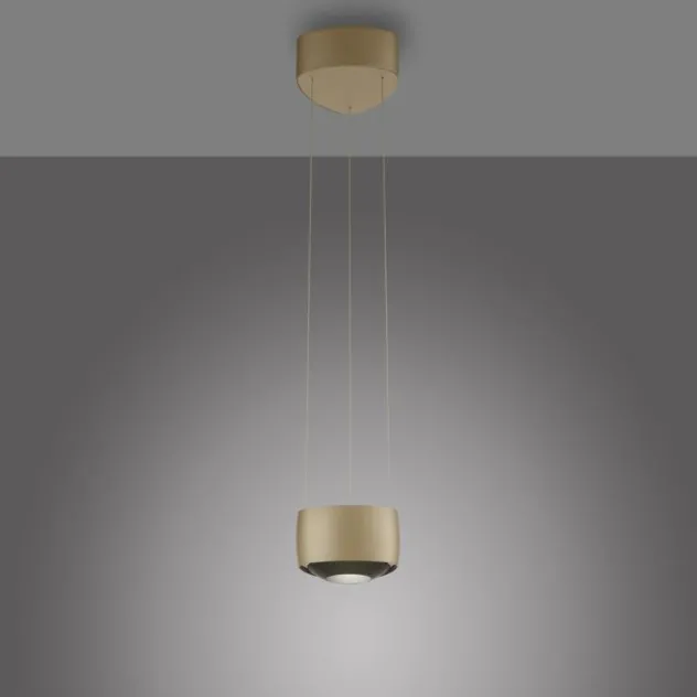 Paul Neuhaus LED Pendelleuchte Q-STRETTO, bronce, dimmbar, Fernbedienung