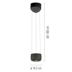 Paul Neuhaus LED Pendelleuchte Q-STRETTO, schwarz, dimmbar, Fernbedienung