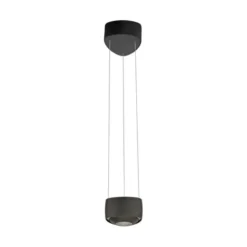 Paul Neuhaus LED Pendelleuchte Q-STRETTO, schwarz, dimmbar, Fernbedienung