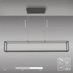Paul Neuhaus LED Pendelleuchte CONNI schwarz, Deko Fläche