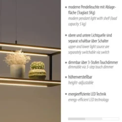 Paul Neuhaus LED Pendelleuchte CONNI schwarz, Deko Fläche