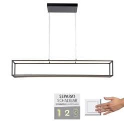 Paul Neuhaus LED Pendelleuchte CONNI schwarz, Deko Fläche