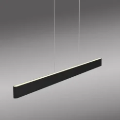 Paul Neuhaus LED Pendelleuchte Q-STRETTO, schwarz,