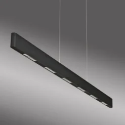 Paul Neuhaus LED Pendelleuchte Q-STRETTO, schwarz,