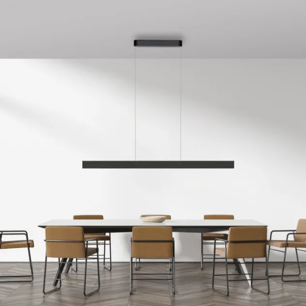 Paul Neuhaus LED Pendelleuchte Q-STRETTO, schwarz,