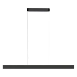 Paul Neuhaus LED Pendelleuchte Q-STRETTO, schwarz,