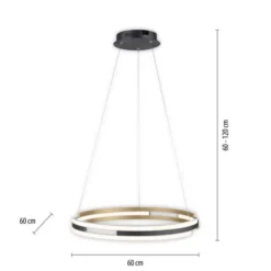 Paul Neuhaus LED Pendelleuchte Q-BELUGA messing matt Smart Home dimmbar
