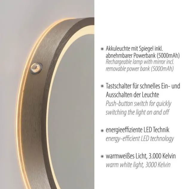 Paul Neuhaus LED Spiegel VIDRO, bronce,