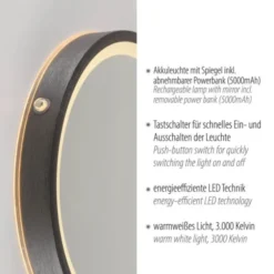 Paul Neuhaus LED Spiegel VIDRO, grau,
