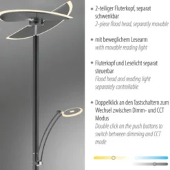 Paul Neuhaus LED Stehleuchte anthrazit dimmbar CCT Memoryfunktion