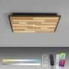 Paul Neuhaus LED Wand- und Deckenleuchte Q-AKUSTIK Holz-naturSmarthome