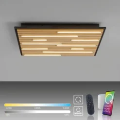 Paul Neuhaus LED Wand- und Deckenleuchte Q-AKUSTIK Holz-naturSmarthome