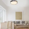 Paul Neuhaus Q BILA LED Deckenleuchte Smart Home mattfarbig Echtholz dimmbar