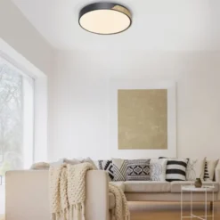 Paul Neuhaus Q BILA LED Deckenleuchte Smart Home mattfarbig Echtholz dimmbar