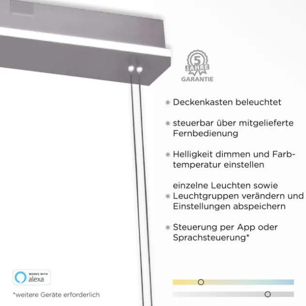 Paul Neuhaus, Q-ETIENNE, LED Pendelleuchte stahl, Smart Home