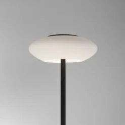 Paul Neuhaus Q ETIENNE LED Stehleuchte Smart Home schwarz dimmbar CCT