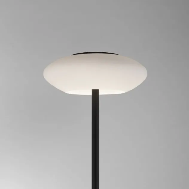 Paul Neuhaus Q ETIENNE LED Stehleuchte Smart Home schwarz dimmbar CCT