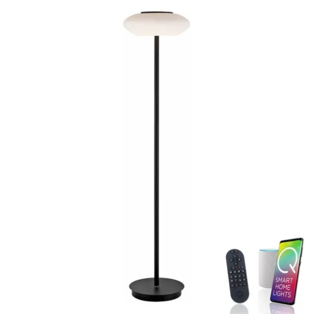 Paul Neuhaus Q ETIENNE LED Stehleuchte Smart Home schwarz dimmbar CCT