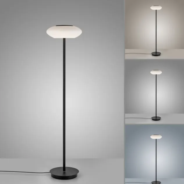 Paul Neuhaus Q ETIENNE LED Stehleuchte Smart Home schwarz dimmbar CCT