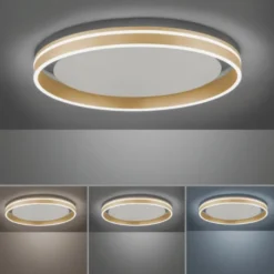 Paul Neuhaus, Q-VITO, LED Deckenleuchte, Ø59cm, Smart Home
