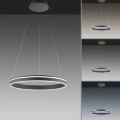 Paul Neuhaus, Q-VITO, LED-Pendelleuchte, anthrazit, Ø 59cm, dimmbar, Smart Home