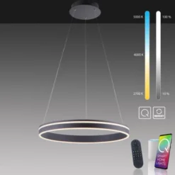 Paul Neuhaus, Q-VITO, LED-Pendelleuchte, anthrazit, Ø 59cm, dimmbar, Smart Home