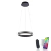 Paul Neuhaus, Q-VITO, LED-Pendellampe, anthrazit, Ø 40cm, Leuchtring