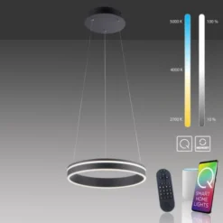 Paul Neuhaus, Q-VITO, LED-Pendellampe, anthrazit, Ø 40cm, Leuchtring
