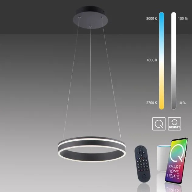Paul Neuhaus, Q-VITO, LED-Pendellampe, anthrazit, Ø 40cm, Leuchtring