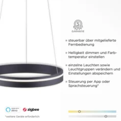 Paul Neuhaus, Q-VITO, LED-Pendellampe, anthrazit, Ø 40cm, Leuchtring
