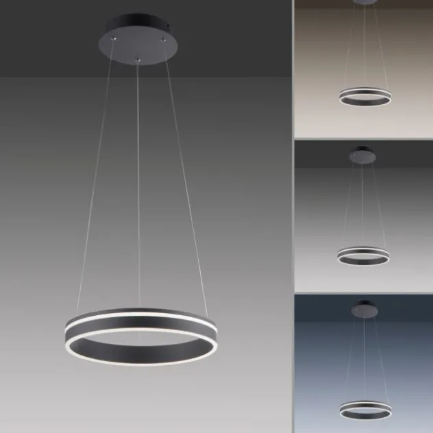 Paul Neuhaus, Q-VITO, LED-Pendellampe, anthrazit, Ø 40cm, Leuchtring