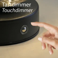 Paul Neuhaus Tischleuchte FADAS schwarz,