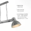 Pendelleuchte, Eisen,Industrial Stil, E27, 2flg., schwenkbar, Vintage