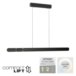 Schöner Wohnen-Kollektion LED Pendelleuchte ADRIANA, schwarz, dimmbar