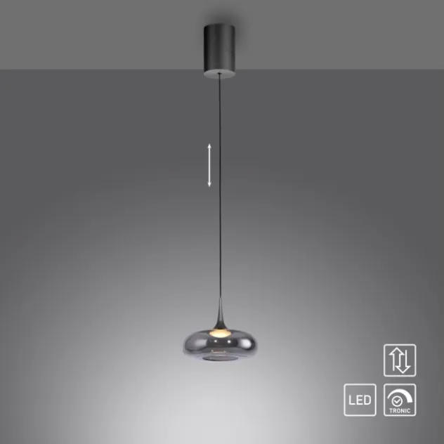 Schöner Wohnen-Kollektion LED Pendelleuchte POSH, grau, 1-flammig, dimmbar